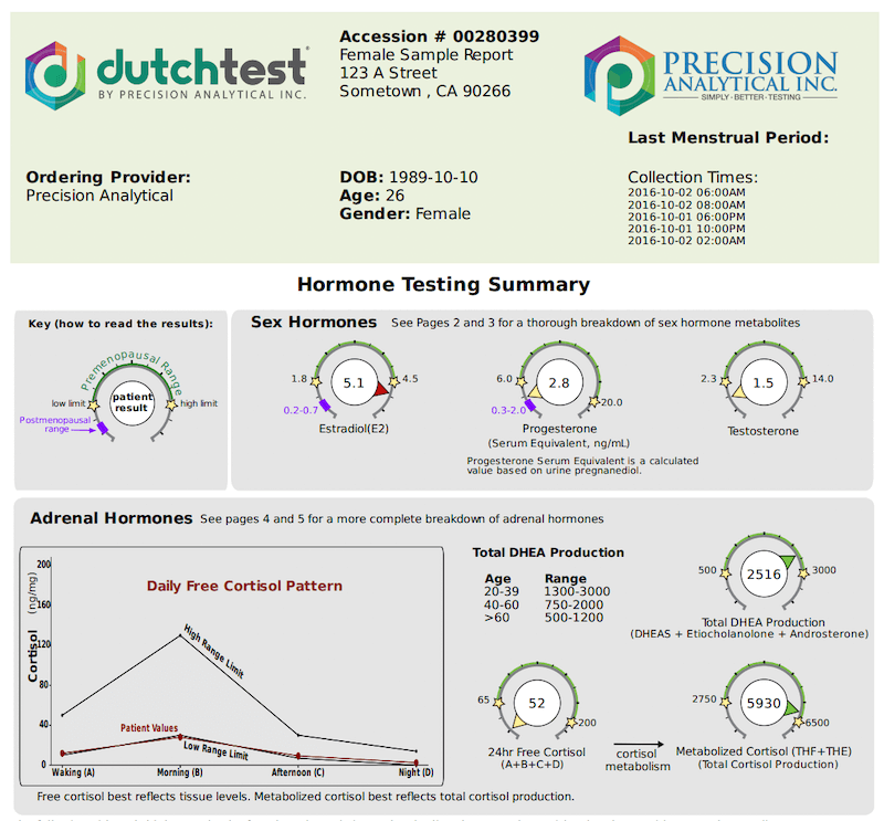 Dutch Sample Report